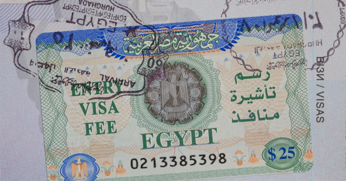 What Does a Visa Look Like