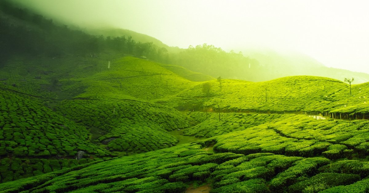 Travel Tips for First Time Visitors to India