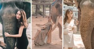 10 Ways to Enjoy Elephants in Pattaya Fun Activities, Attractions, and Ethical Considerations
